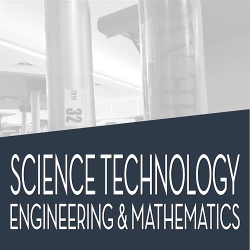 Science Technology Engineering and Mathematics 