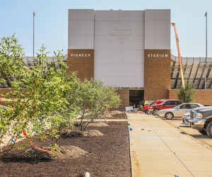 Stadium landscaping