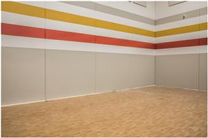 Gym floor 