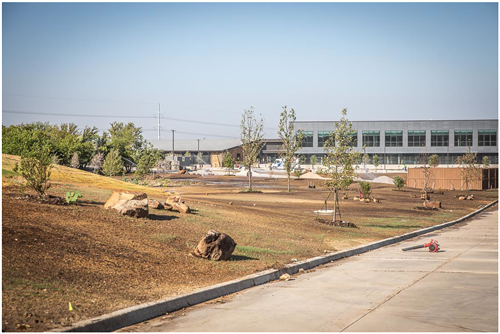 Admin landscaping