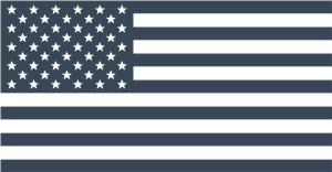 US flag icon